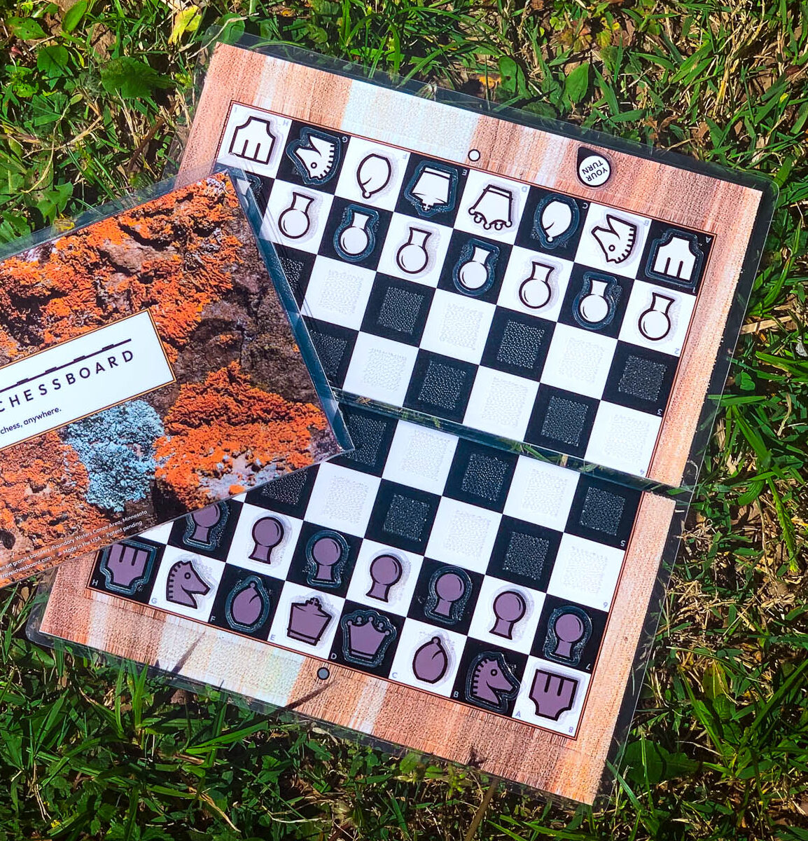 Open birch wood travel chessboard with closed orange lichen chessboard on top and to the side, partially out of the frame, both on a bed of grass.